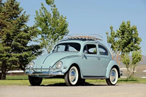 Wall Collection: Volkswagen VW Beetle