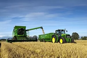 Work Collection: John Deere combine harvester, harvesting Barley (Hordeum vulgare) crop