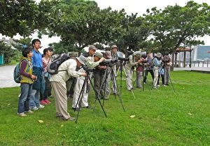 Taiwanese Collection: Taiwanese birdwatchers scanning estuary with telescopes, members of The Wild Bird Society of
