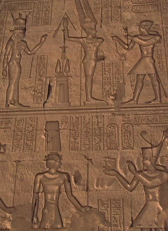 Kom Ombo Collection: Africa, Egypt, Kom Ombo. Stone relief work on temple wall