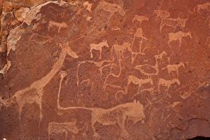 Africa, Namibia, Damaraland, Twyfelfontein. Close-up of rock engravings or petroglyphs Africa, Namibia, Damaraland, Twyfelfontein. Close-up of rock engravings or petroglyphs