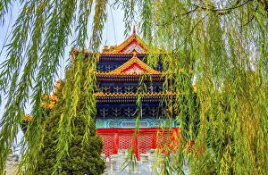 Pagoda Gallery: Arrow Tower, willow tree in Autumn. Forbidden City palace wall, Beijing, China