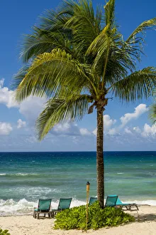 Us Virgin Islands Gallery: Carambola Beach Resort beach, St. Croix, US Virgin Islands