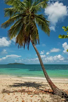 Us Virgin Islands Gallery: Cramer Park Beach, St. Croix, US Virgin Islands