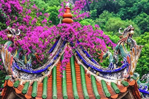 Pagoda Collection: Dragon roof, Zhongde Temple, Xiamen, Fujian Province, China