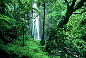 Refreshing Gallery: Hanakapiai Falls along the Na Pali Coast, Kauai, Hawaii