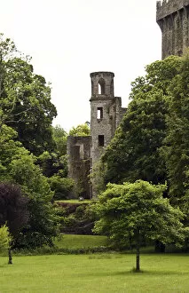 In Ireland, at the Blarney Castle tower surrounded by lush green trees