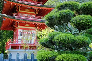 Pagoda Collection: Pagoda, Japanese Tea Garden, Golden Gate Park, San Francisco, California, USA