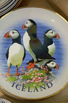 Decoration Gallery: The puffin, Icelands national bird, is a popular chinaware decoration, especially for tourists