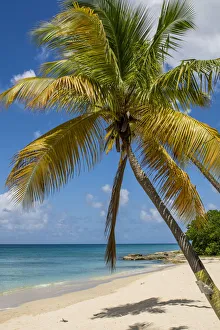 Us Virgin Islands Gallery: Sprat Hall Beach, St. Croix, US Virgin Islands