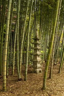 Pagoda Gallery: A tall pagoda statue in the center of a tall bamboo grove, Akebonoyama Park, Japan