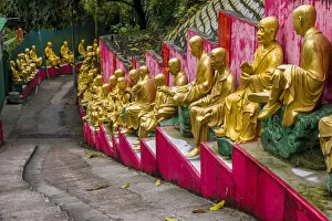 Pagoda Gallery: Ten Thousand Buddhas Monastery, Sha Tin, Hong Kong, China