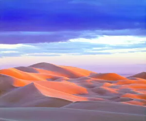 Vibrant Gallery: USA, California, Glamis Sand Dunes at Sunset, CA