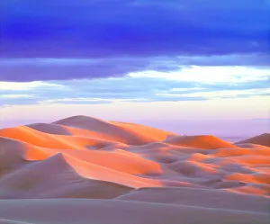 Vibrant Gallery: USA, California, Glamis Sand Dunes at Sunset, CA