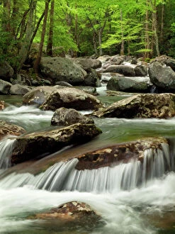 Tranquil Collection: USA, Tennessee, Great Smoky Mountains National Park, Little Pigeon River at Greenbrier