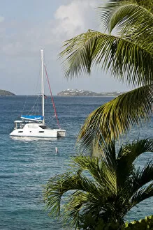 Us Virgin Islands Gallery: USA, USVI, St John. Catamaran moored in Cruz Bay