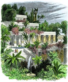 Illustration Gallery: Hanging gardens of Babylon