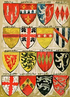 Shield Collection: Medieval English shield designs