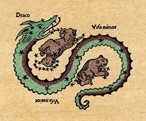 Dragon Collection: DRACO, 1482. Figuration of the constellations Draco, Ursa Major (Big Dipper), and Ursa Minor