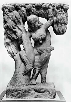 Tree Collection: Sandstone sculpture of a Yakshini, a benevolent tree spirit in Sanskrit mythology
