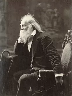 Seated Collection: WALT WHITMAN (1819-1892). American poet. Photographed in 1881