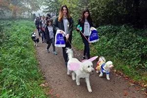 All Dogs Matter Halloween Dog Walk, Hampstead Heath, London, UK