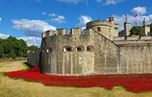Ceramic poppies fill the moat of the Tower of London to commemorate WWI, London, England