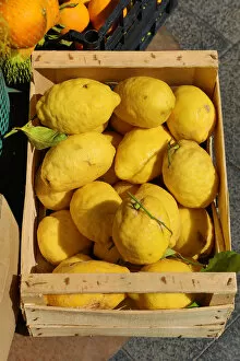 Fresh lemons on sale in the street market in the city of Pompeii, Italy