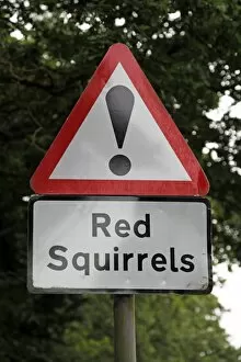 Red Squirrel Warning Sign