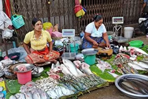 Women selling fish in a street market, Yangon, Myanmar