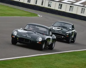 Corvette, Aston Martin, Ferrari and Jaguar E Type at Goodwood