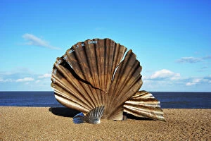 Beach Gallery: DSC1925 Scallop shell sculpture