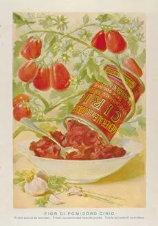 Advertisement for Cirio concentrated tomato puree