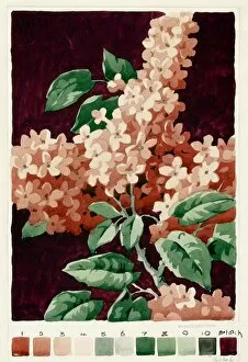 Design for printed textile with pink flowers
