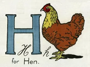 H for Hen