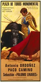 Poster design for a bullfight