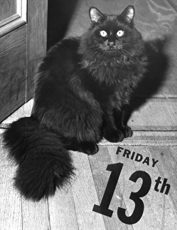 ewing galloway agents/black cat friday 13th