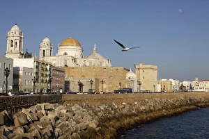 <b class=qtipBold><figcaption>Cadiz waterfront</figcaption></b><br><em>© Godong/UIG</em> Cadiz waterfront