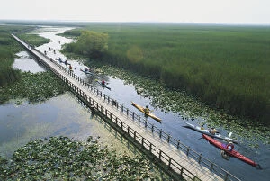 Tourist Attractions Collection: Canada, Ontario, Point Pelee National Park, long line of canoeists paddling their boats alongside