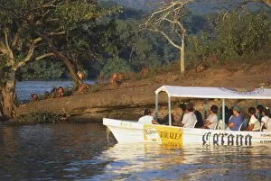 Tourist Attractions Collection: Mexico, Gulf Coast, Tanaxpillo Island, tourists in a boat looking at group of Macaques dotted