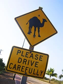 Animal Representation Collection: Camel Road Sign