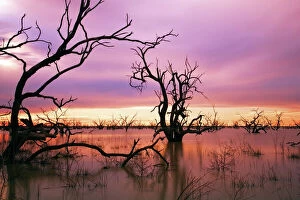 Tranquil Collection: Sunset at Menindee Lakes, Outback NSW, Australia