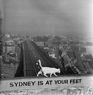 Support Gallery: Sydney At Your Feet