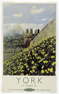 Graphics Gallery: York in Daffodil Time, BR poster, 1950