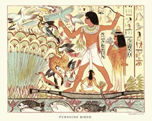 Ancient Egyptian Culture Gallery: Ancient egyptians hunting birds