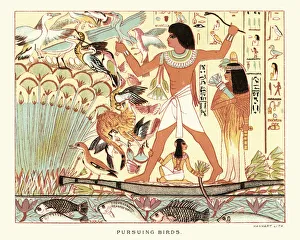 Ancient Egyptian Culture Gallery: Ancient egyptians hunting birds