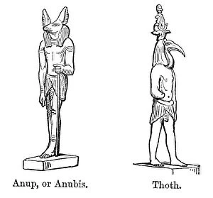 Ancient Egyptian Culture Gallery: Anubis and Thoth