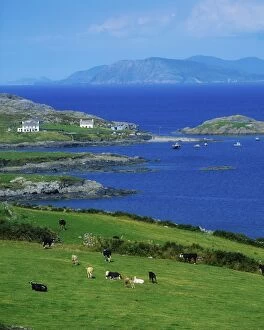 Farmstead Collection: Co Cork, Garinish Island, Beara Peninsula, Ireland