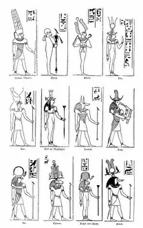 Ancient Egyptian Culture Collection: Egyptian gods