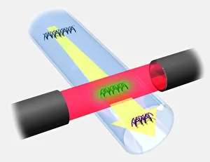 High voltage driving DNA fragments along a capillary tube passing through a photo detector, illustration High voltage driving DNA fragments along a capillary tube passing through a photo detector, illustration